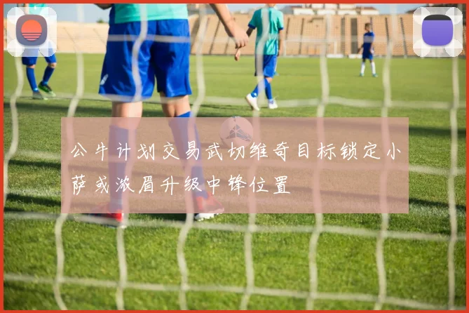 公牛计划交易武切维奇目标锁定小萨或浓眉升级中锋位置
