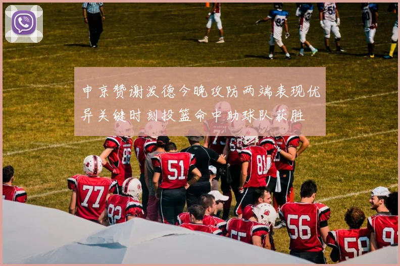 申京赞谢泼德今晚攻防两端表现优异关键时刻投篮命中助球队获胜